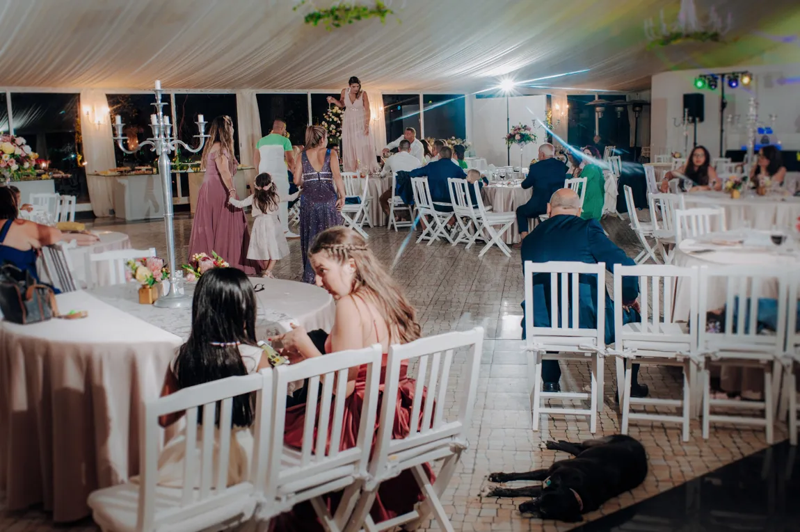Fotografia de Casamento na Quinta da Serra no Linho, em Sintra, Lisboa Fotografia de Casamento na Quinta da Serra no Linho, em Sintra, Lisboa